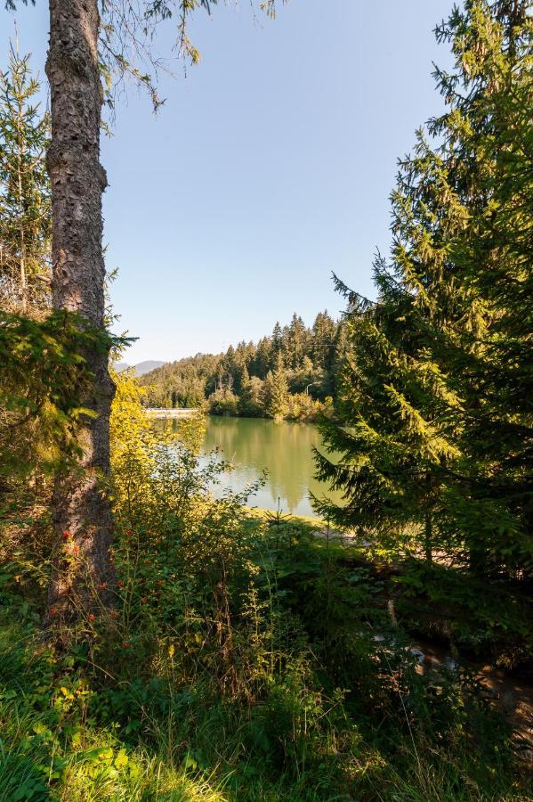 Vila Viktoria - Apartman Viktoria 2 Ruzomberok Exteriér fotografie